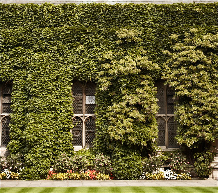 green wall and three windows || canon350d/ef17-40L@33 | 1/50s | f5 | P | iso100 | handheld