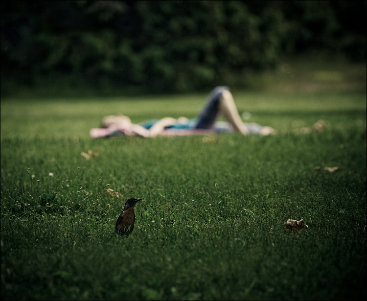 the girl and the bird || Canon350D/EF70-200f4L@200 | 1/800s | f4 | ISO200 | Handheld