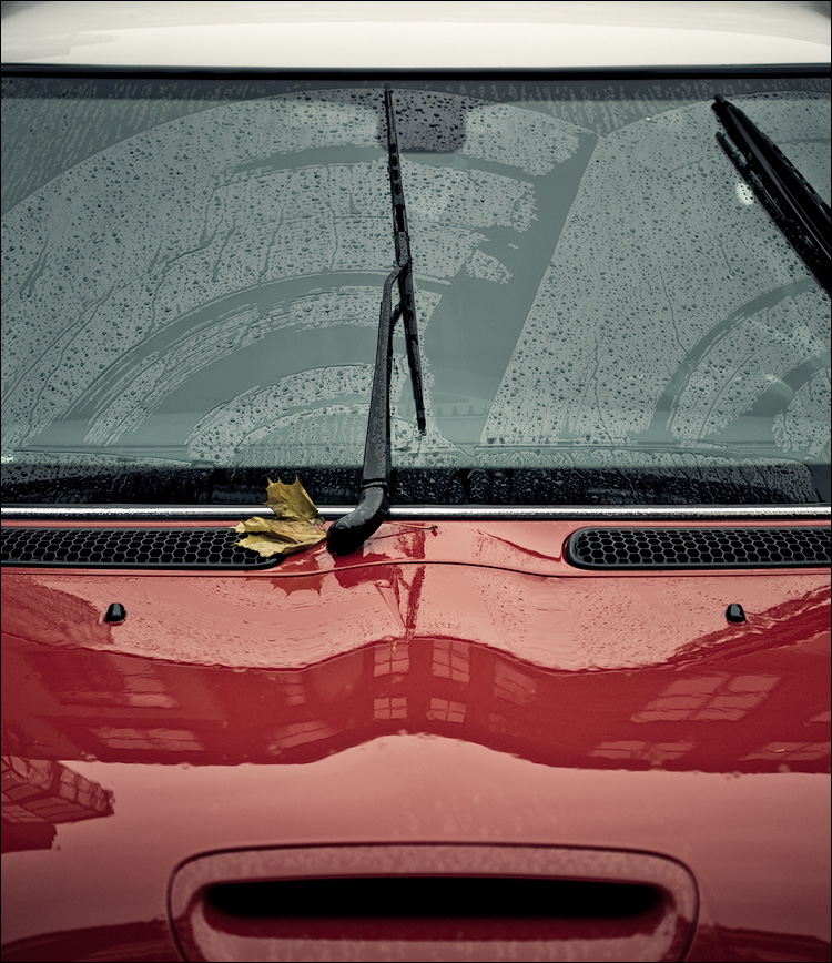 yellow leaf and red mini || Canon5D/EF100f2.8 | 1/100s | f2.8 | ISO160 | Handheld