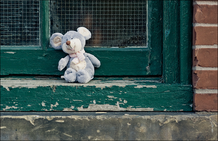 mouse and window || SonyA700/Zeiss135 | 1/320s | f2.8 | ISO200 | Handheld