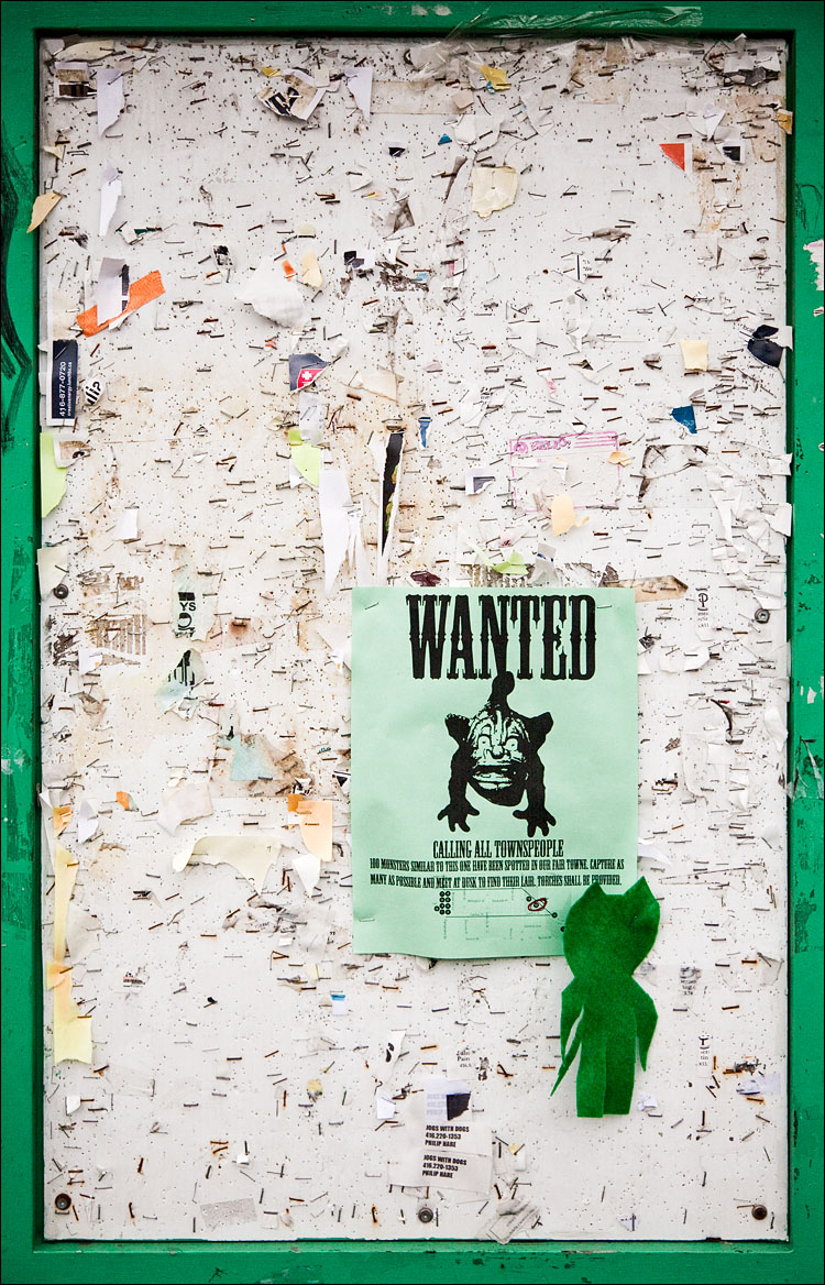 wanted monster || Canon5D2/EF24-105f4L@55 | ISO1600