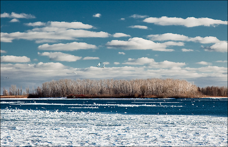 island and ice || Canon5D2/EF24-105f4L@105 | 1/125s | f8 | ISO200