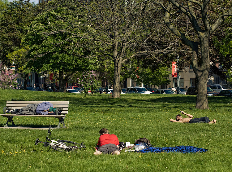 life on green || Canon5D/EF100f2.8 | 1/320s | f5.6 | ISO100