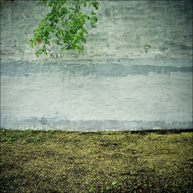 The Wall and The Leaves || Panasonic GH2/Vario7-14@14 | 1/60s | f4 | ISO1000
