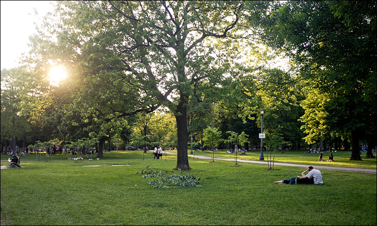 Lovers in the Park || Panasonic GH2/Lumix14f2.5 | 1/80s | f2.5 | ISO160