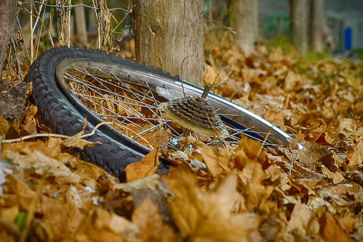 Wheel in Leaves || Panasonic GH3/Lumix12-35@35
