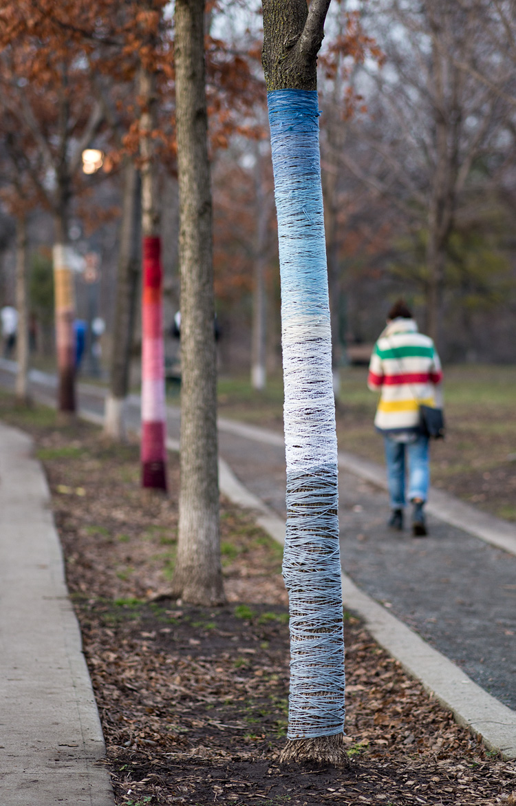 Wrapped Trees || Panasonic GH3/Olympus75mmf1.8 | 1/320s | f1.8 | ISO200