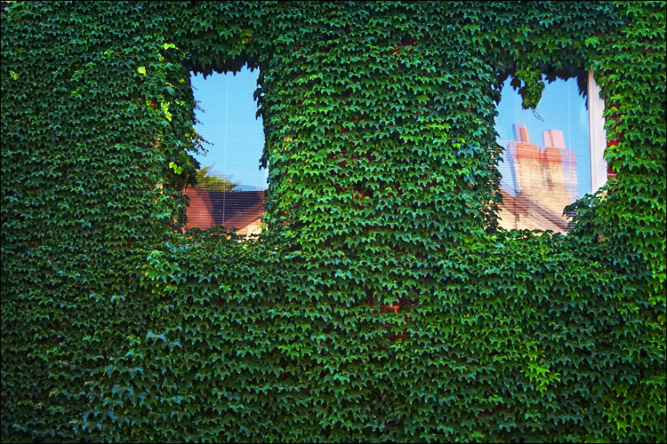 green wall and two windows || canon 350d/efs18-55@55 | 1/60s | f5.6 | iso100 | handheld