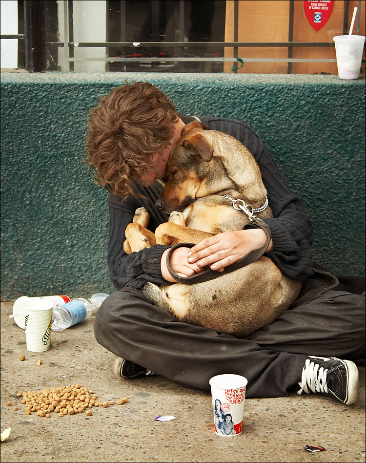 homeless_sleeping_dog.jpg