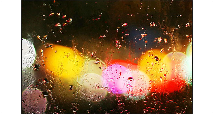 colored lights and rain drops || canon digital rebel | 1/4s | f1.8 | ISO 100