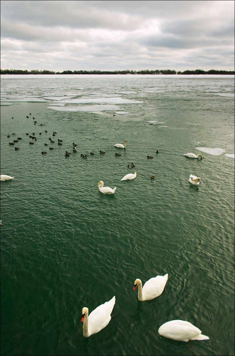 icy lake || canon 300d/ef-s 18-55 | 1/25s | f7.1 | ISO 100 | handheld