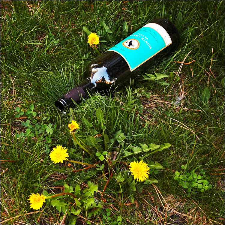 bottle on grass || canon 350d/efs18-55@50 | 1/50s | f6.3 | ISO 400 | handheld